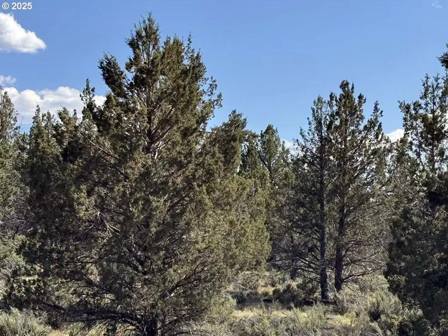 Hwy 140 #300, Beatty, OR 97621 - #2