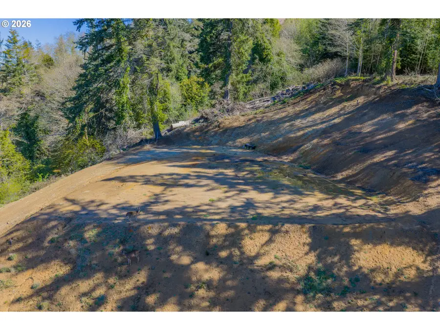 63539 Andrews Rd, Bunker Hill, OR 97420 - #2