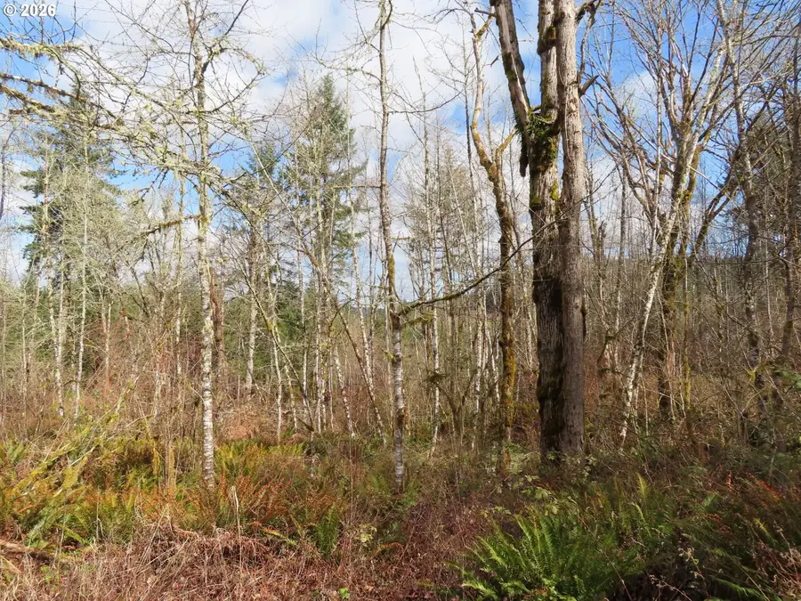 125 Oppelt Rd, Chehalis, WA 98532 - #2