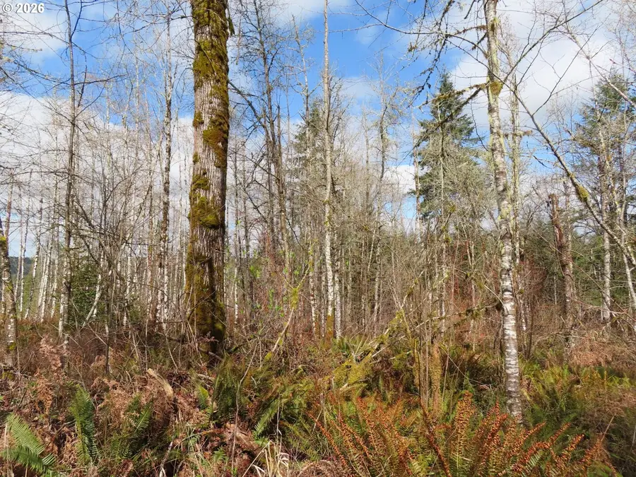 125 Oppelt Rd, Chehalis, WA 98532 - #3