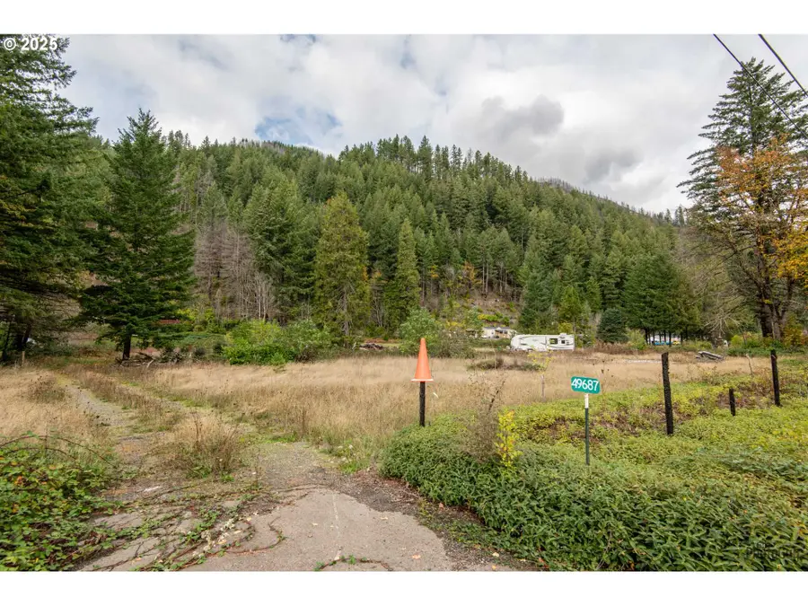 49687 Mckenzie Hwy, Vida, OR 97488 - #3