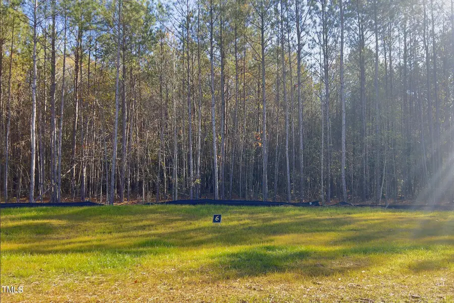 306 Green Pines Estates Drive, Kenly, NC 27542 - Image #3