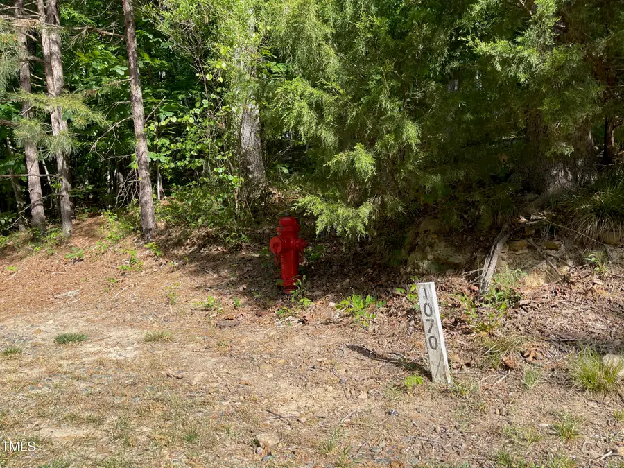 70009 Morehead, Governors Club, NC 27517 - Image #3