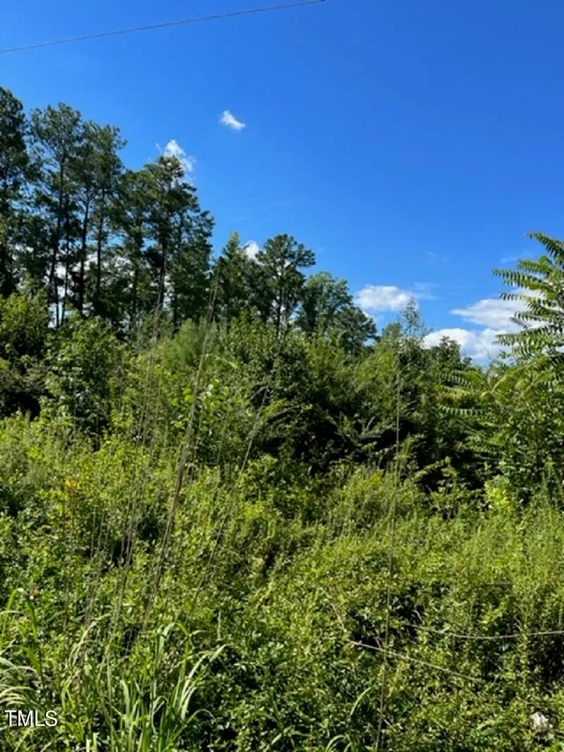 0 Old Macon Highway, Macon, NC 27551 - Image #2