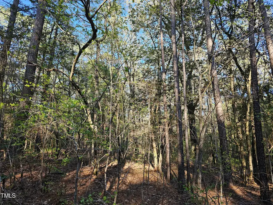 947 Hudsonia Drive, Vass, NC 28394 - Image #2