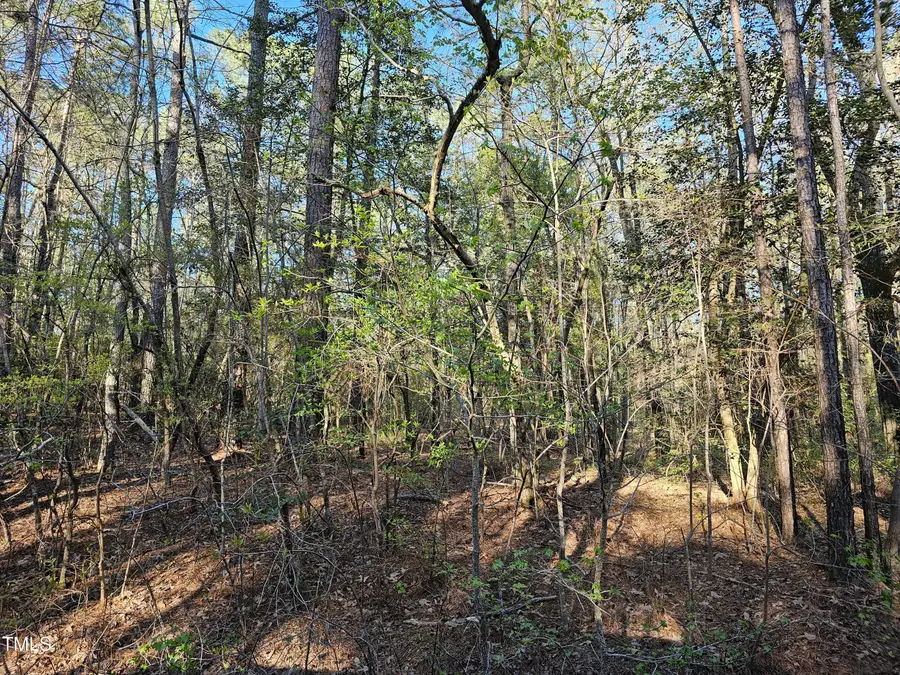 947 Hudsonia Drive, Vass, NC 28394 - Image #3