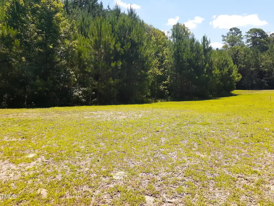 205 Springside Drive, Seven Springs, NC 28578 - Image #2