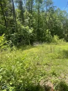 738 Dick Street, Gibsonville, NC 27249 - Image #1