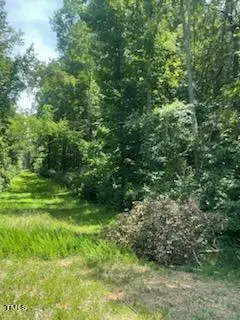 738 Dick Street, Gibsonville, NC 27249 - Image #3