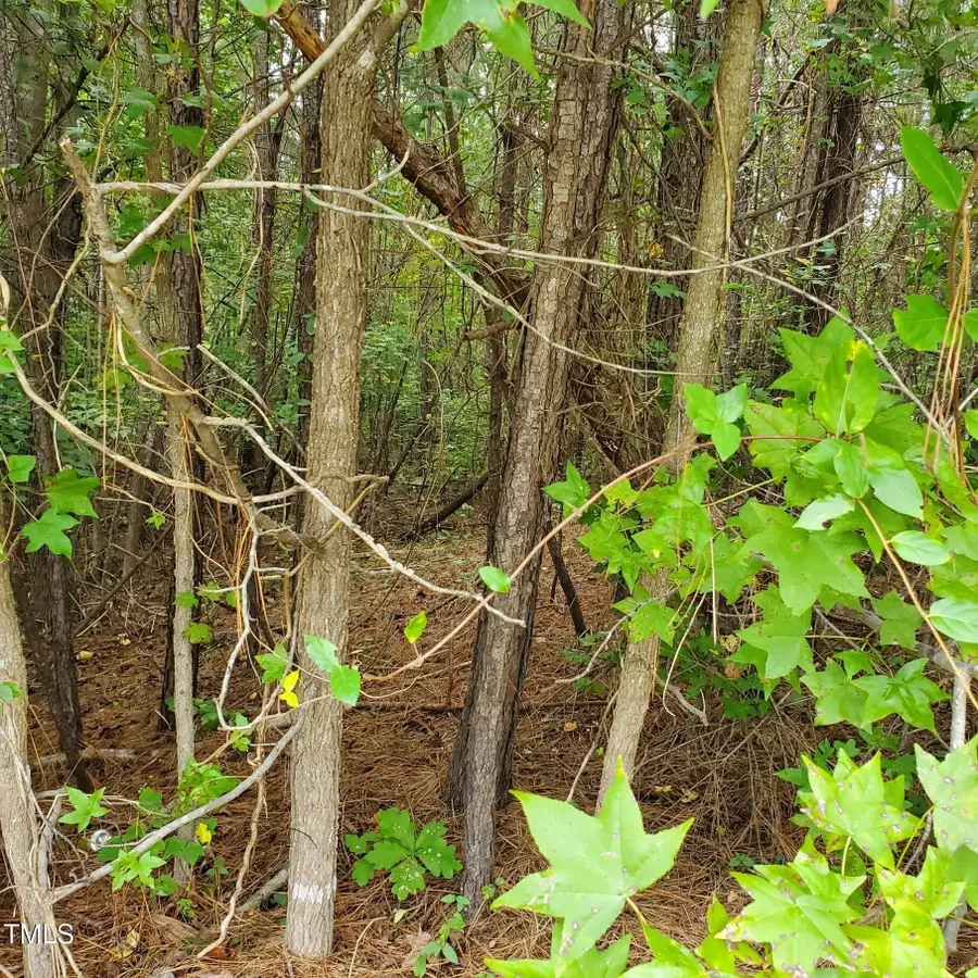 774 Golfers View, Pittsboro, NC 27312 - Image #2