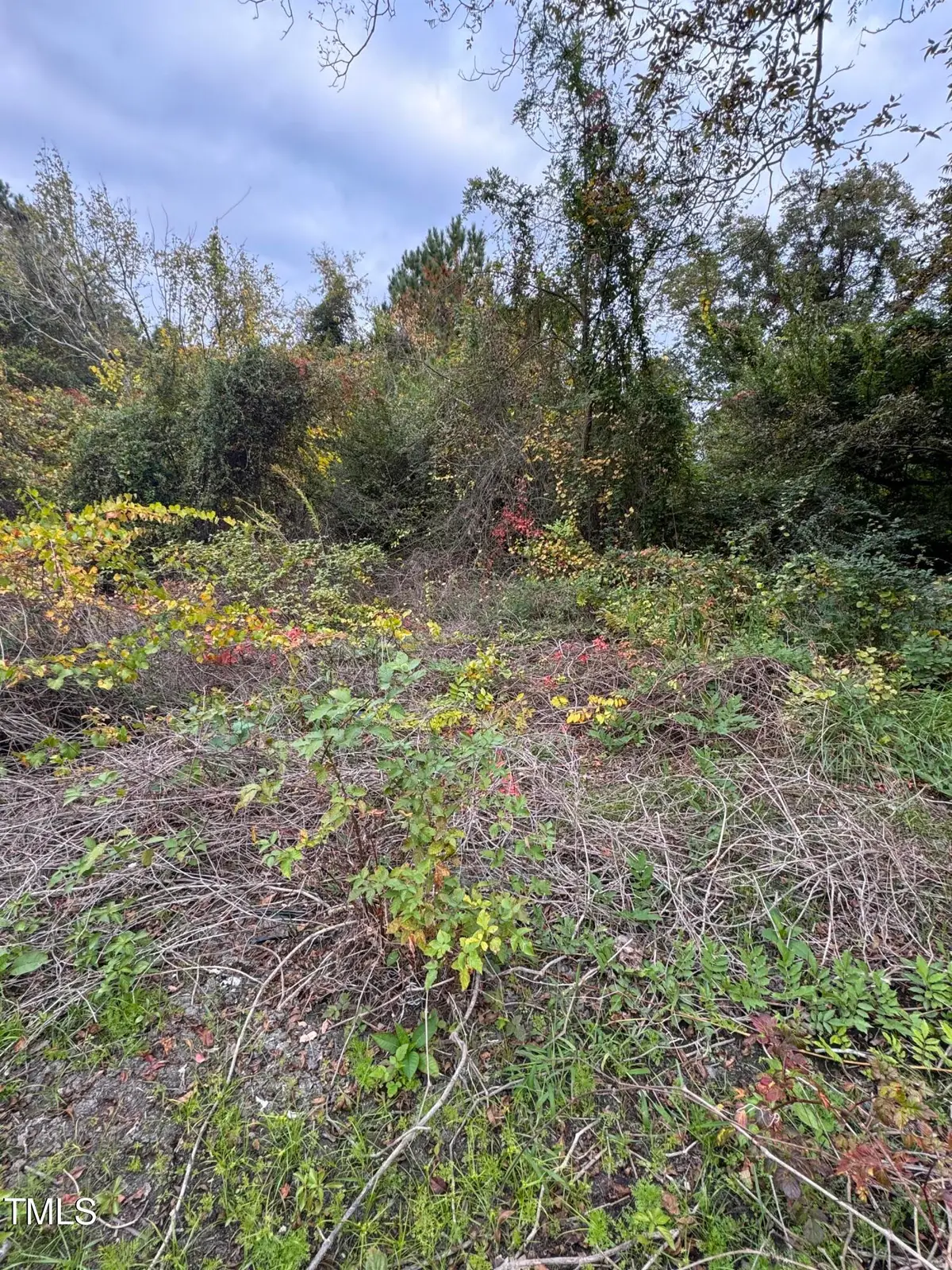 105 Micaville Circle, Spring Lake, NC 28390 - #1