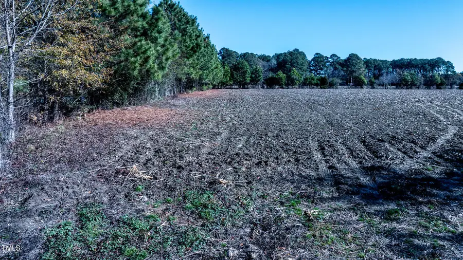 Lot 2 Bullard Pit Circle, Autryville, NC 28318 - Image #3