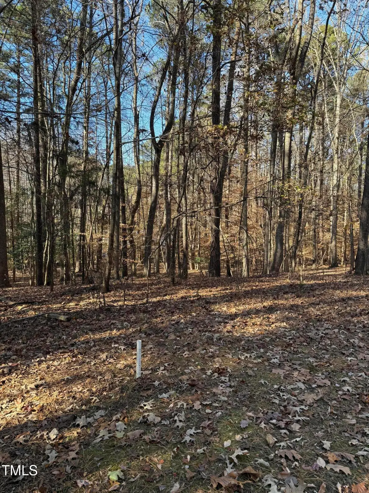 0 Laurel Court, Littleton, NC 27850 - Image #1