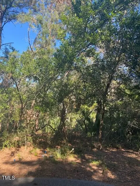 9 Laurel Cherry Court, Bald Head Island, NC 28461