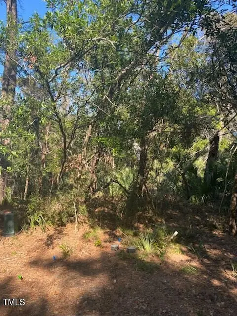 9 Laurel Cherry Court, Bald Head Island, NC 28461 - Image #2