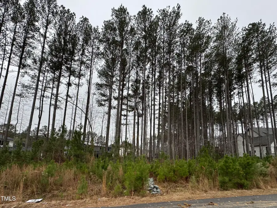 107 Edward Booth Lane Lane, Durham, NC 27713 - Image #3