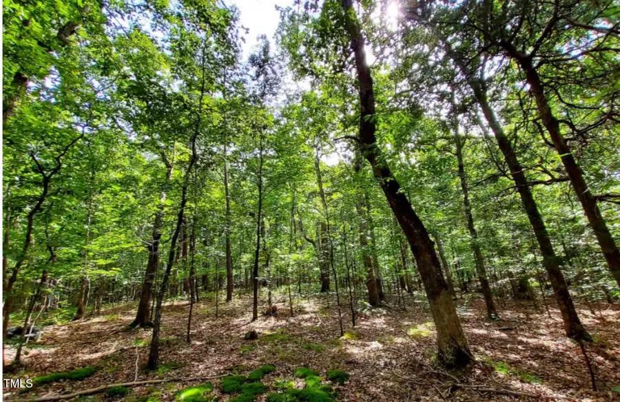 5805 Prioress Drive, Durham, NC 27712 - Image #3