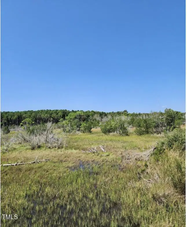 170 Royal Palms Way, Holly Ridge, NC 28445 - Image #2