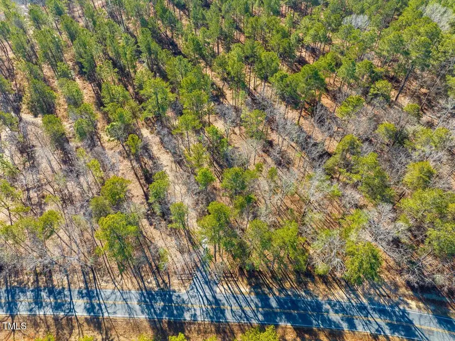 Tract 1 Robedo Road, Mount Gilead, NC 27306 - Image #2