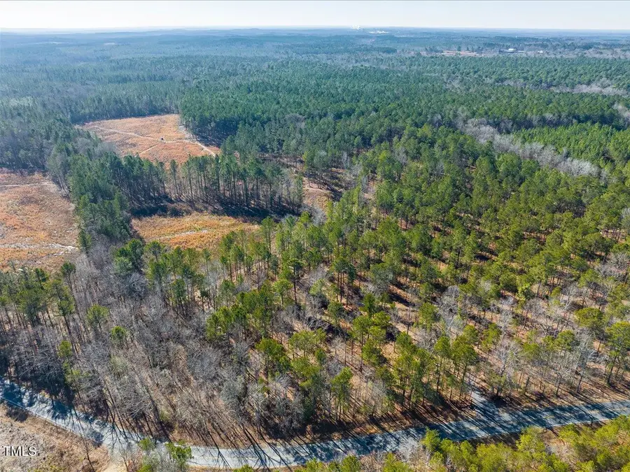 Tract 2 Robedo Road, Mount Gilead, NC 27306 - Image #3