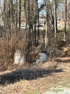 0 Garrett, Roxboro, NC 27573 - Image #2