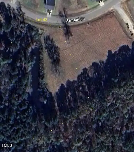 124 Suhani Lane, Clayton, NC 27520 - Image #2