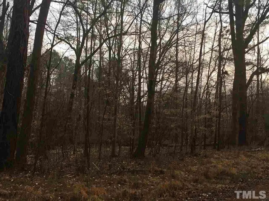 6825 Green Meadow Drive, Raleigh, NC 27603 - Image #3