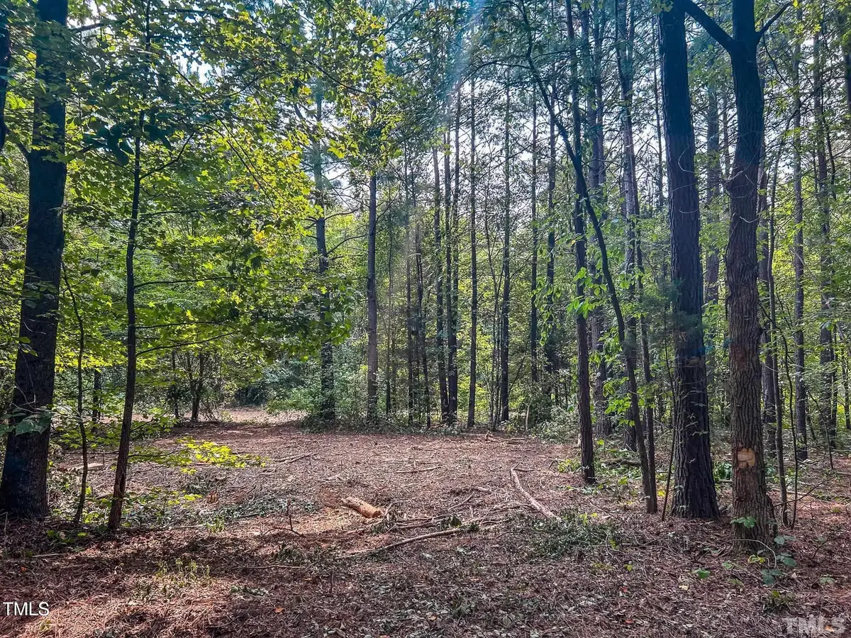 Tract Bb Sonny Dawes Road, Semora, NC 27343 - Image #1