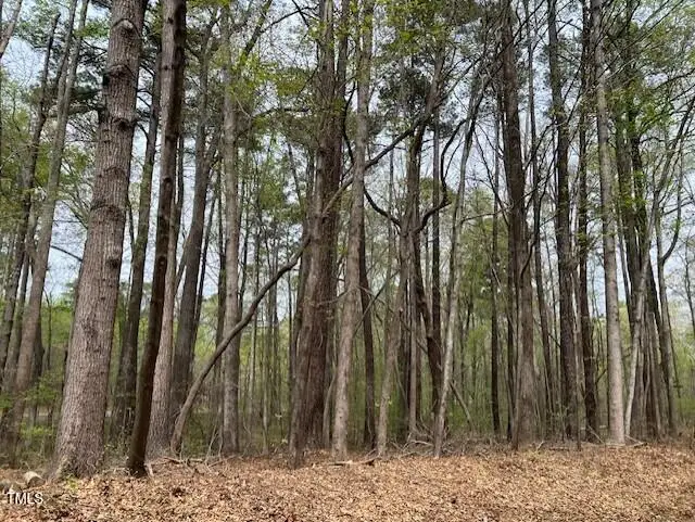 0 Lot 336 Forest Hills Drive, Littleton, NC 27850 - #3