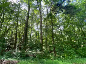 0 Phillips Drive, Sanford, NC 27330 - Image #1