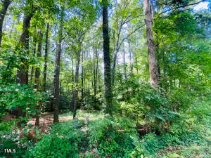 0 Phillips Drive, Sanford, NC 27330 - Image #2