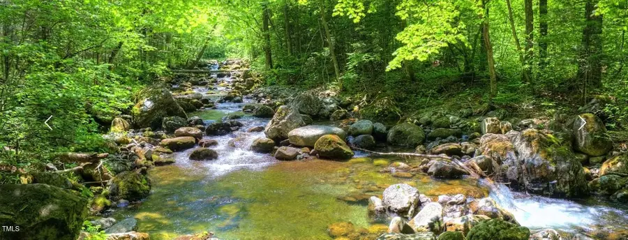 164 Blufftonwood Drive #35, Pittsboro, NC 27312 - Image #3