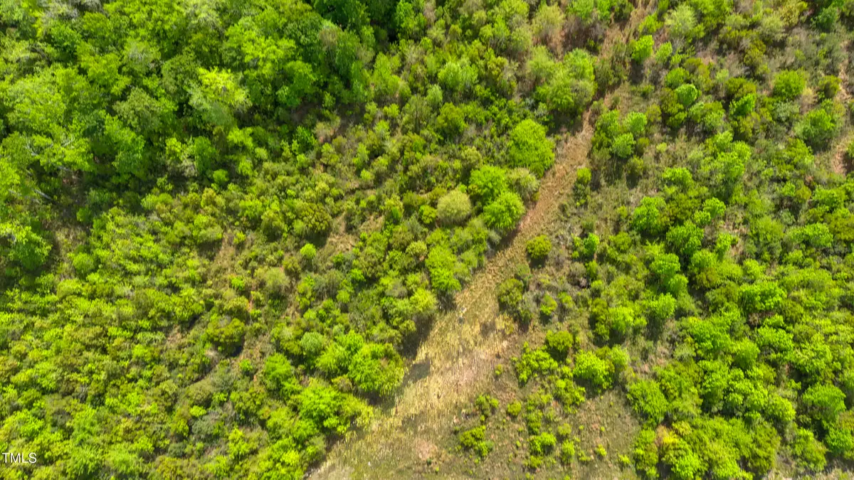 0 Hardy Graham Road, Maple Hill, NC 28454 - Image #1