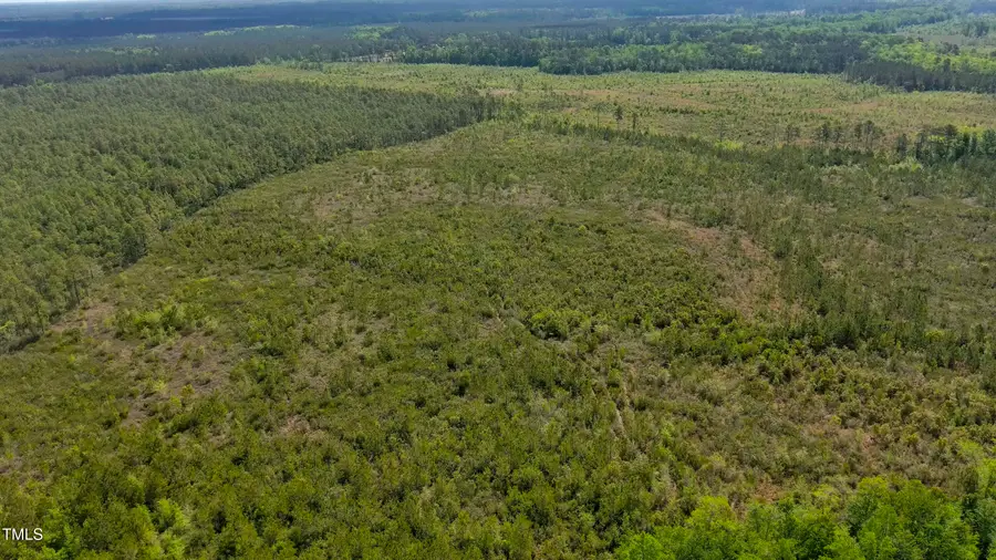 0 Hardy Graham Road, Maple Hill, NC 28454 - Image #3