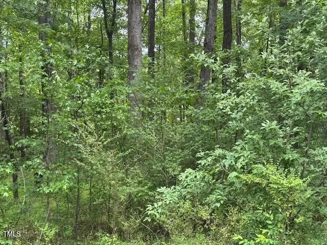 103 Spring Blossom Lane, Durham, NC 27705 - Image #3