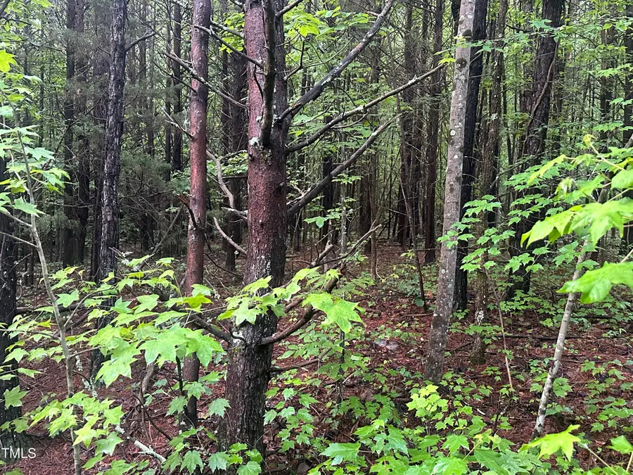 Lot 5 Mudlee Drive, Hurdle Mills, NC 27541 - Image #2