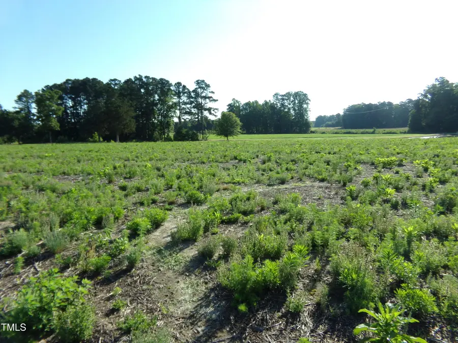 Lot 5 Triskel, Zebulon, NC 27597 - Image #3