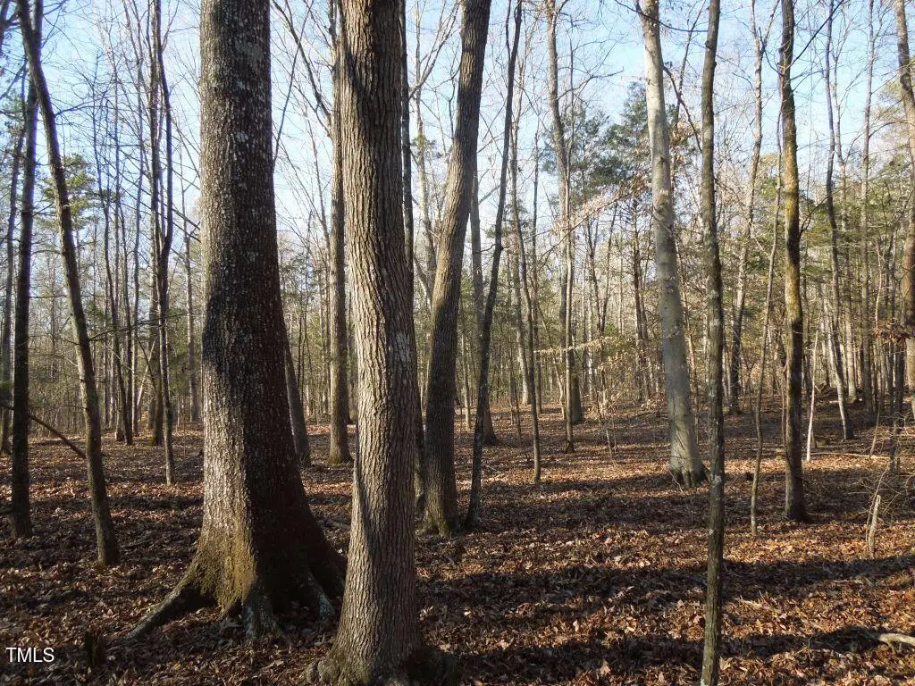 0 Noel Tuck Road, Oxford, NC 27565 - Image #1