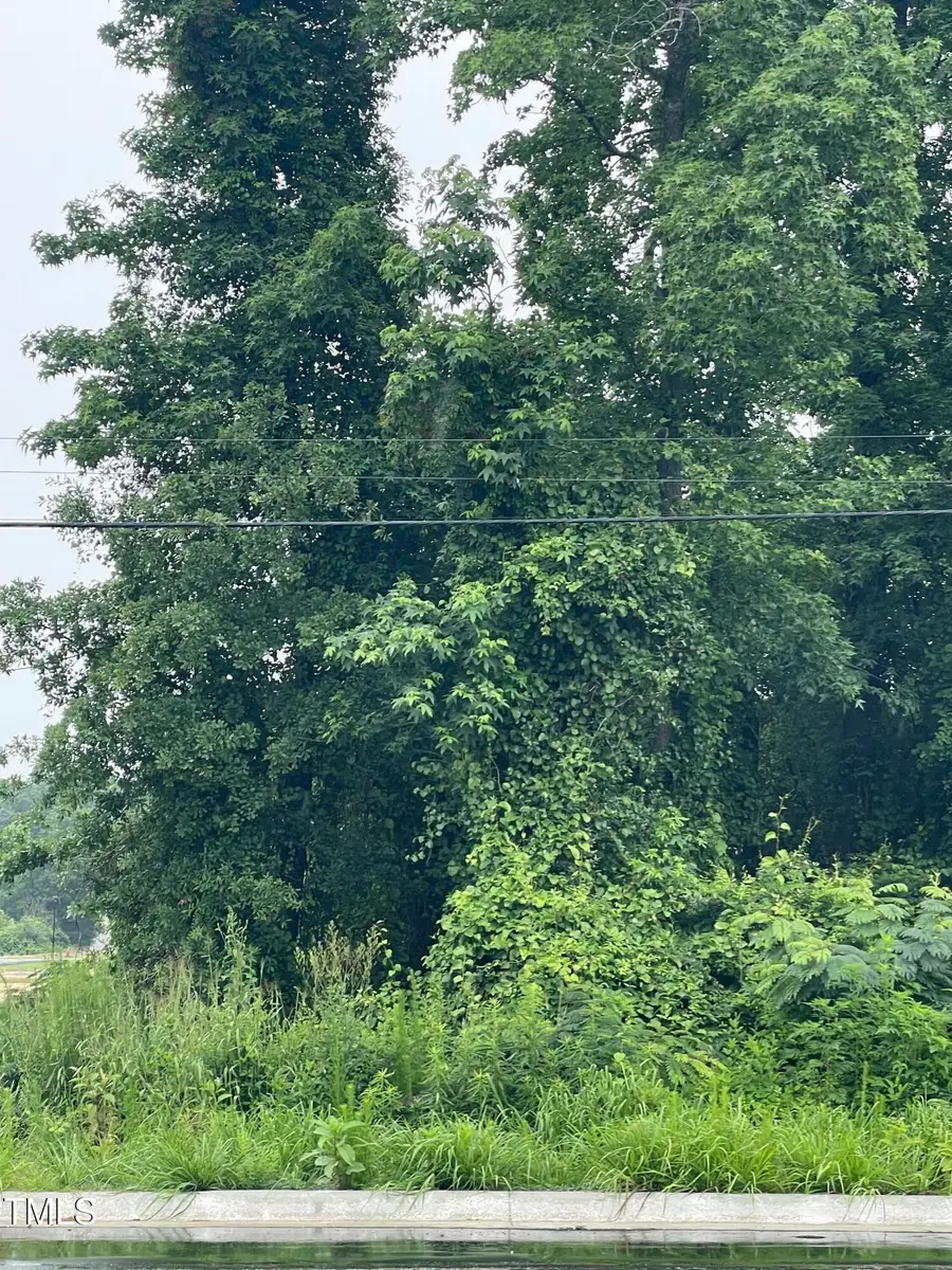 1502 Erwin Road, Dunn, NC 28334 - Image #3