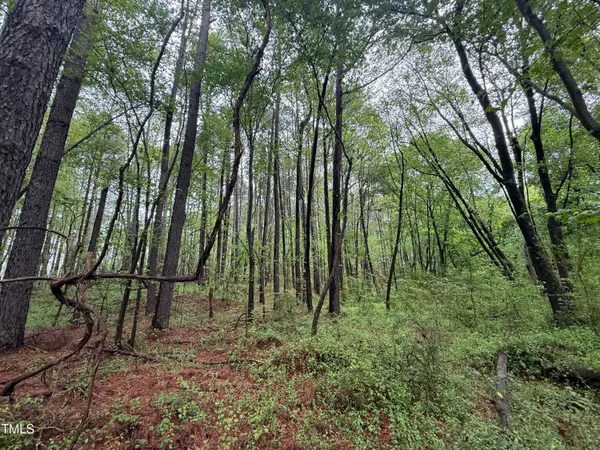 0 Poker Shake Lane, Louisburg, NC 27549