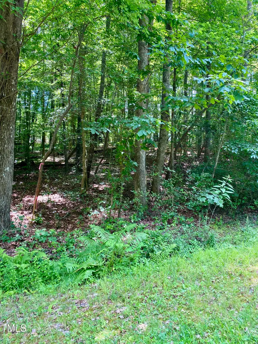 106 Cherokee Drive, Louisburg, NC 27549 - Image #3