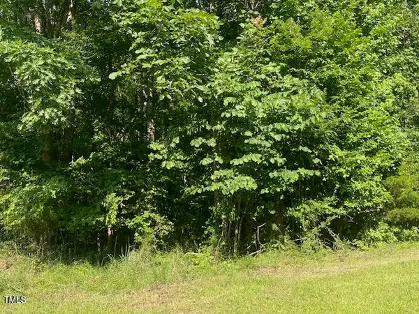 Lot 3 Uzzle Road, Rougemont, NC 27572