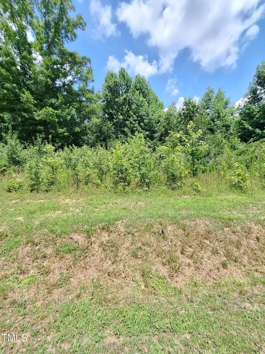 0 Carver Street, Franklinton, NC 27525 - Image #2