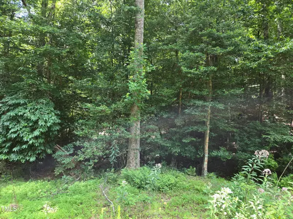 116 Navajo Drive, Louisburg, NC 27549