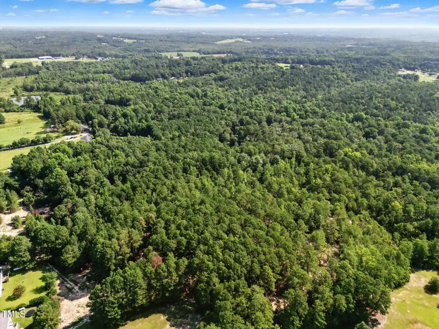 Tract 3 Benson Hardee Road, Benson, NC 27504 - Image #3