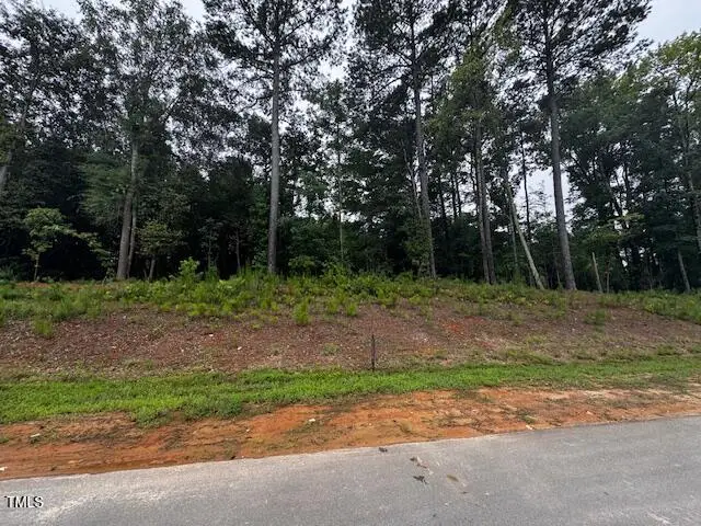 331 Meadow Walk Drive, Fuquay Varina, NC 27526 - Image #3