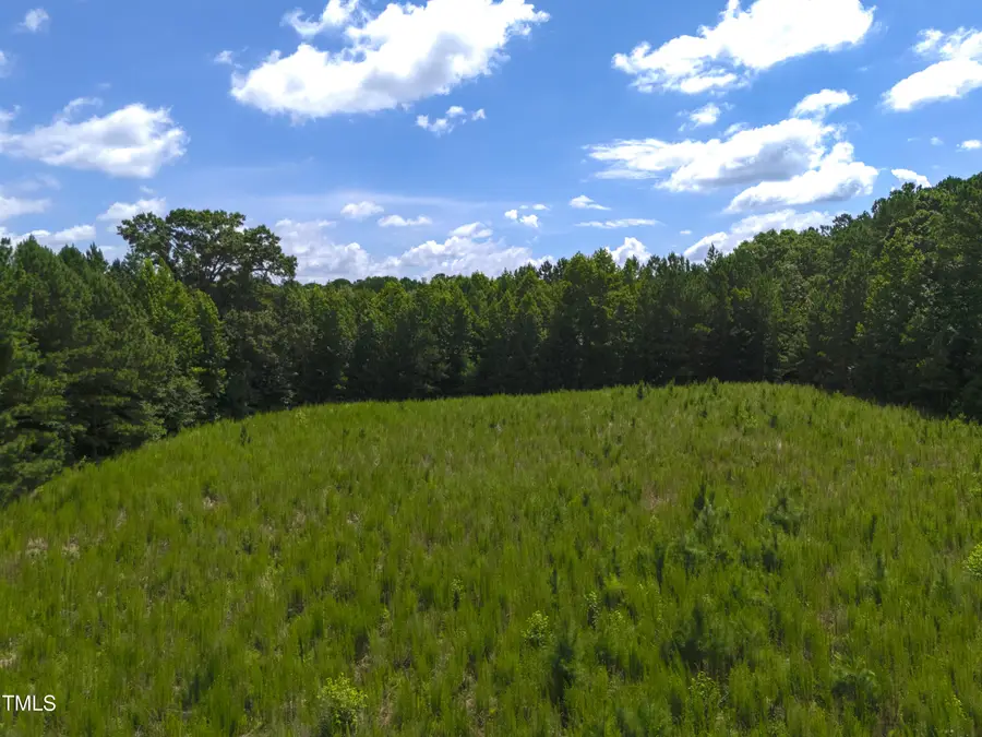 1096 Kadir Womble Drive, New Hill, NC 27562 - Image #3