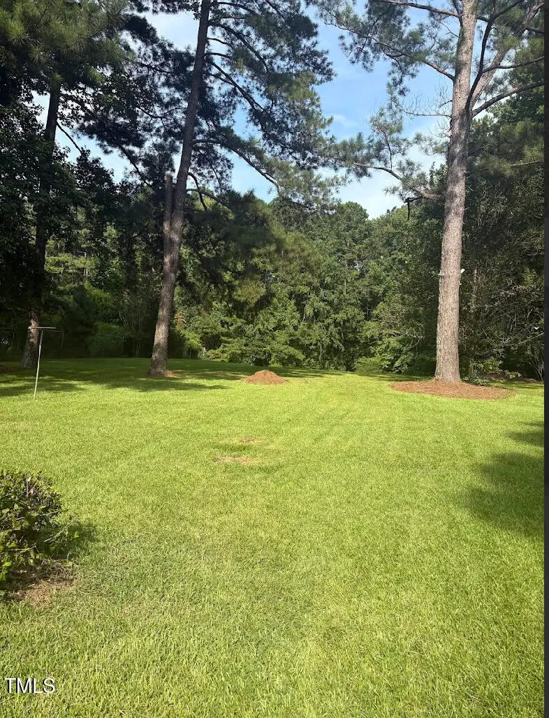 10329 Fanny Brown Road, Raleigh, NC 27603 - Image #3