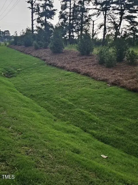 1643 Hannah Creek Road, Benson, NC 27504 - Image #2