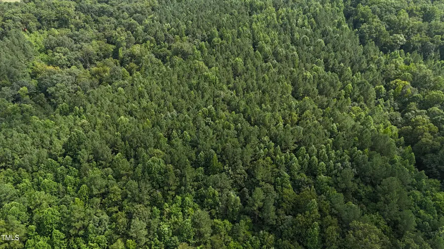 3287 Runner Stone Lane, Franklinton, NC 27525 - Image #3